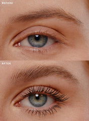 Mascara & Brow Gel Duo